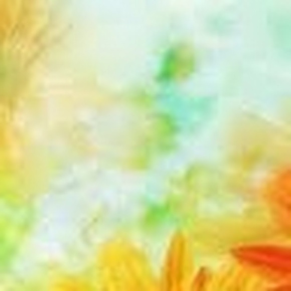 Meet your Posher, Elizabeth - Picture 1 of 1